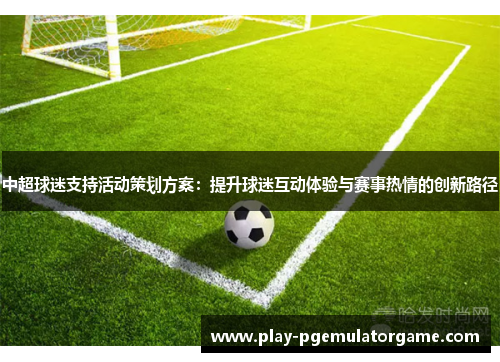中超球迷支持活动策划方案：提升球迷互动体验与赛事热情的创新路径