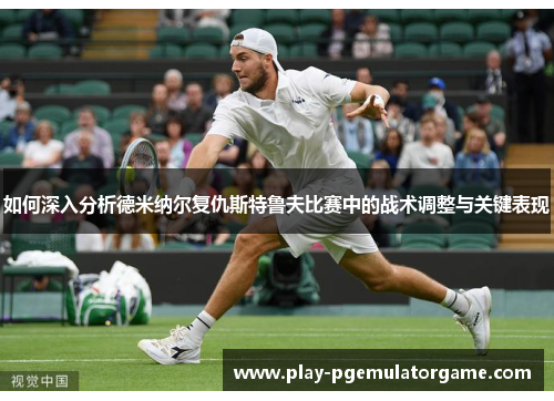 如何深入分析德米纳尔复仇斯特鲁夫比赛中的战术调整与关键表现