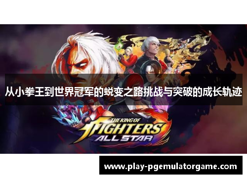 从小拳王到世界冠军的蜕变之路挑战与突破的成长轨迹