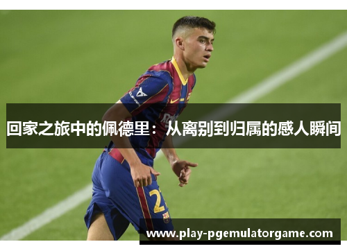 回家之旅中的佩德里：从离别到归属的感人瞬间