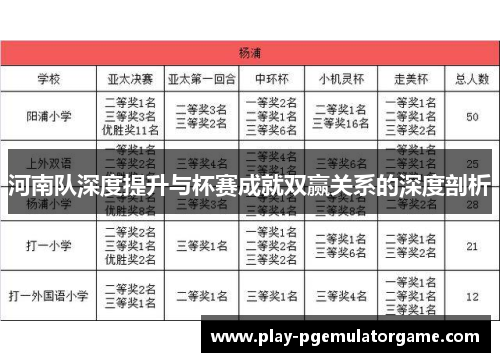 河南队深度提升与杯赛成就双赢关系的深度剖析