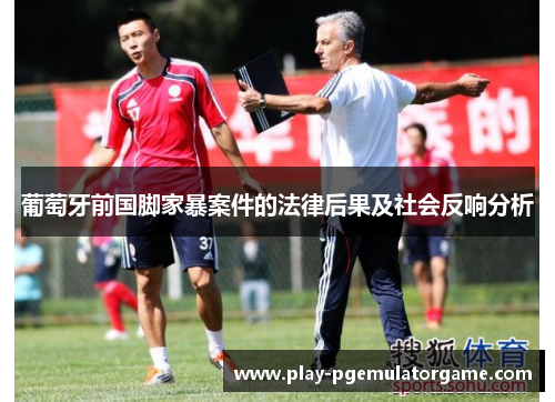 葡萄牙前国脚家暴案件的法律后果及社会反响分析