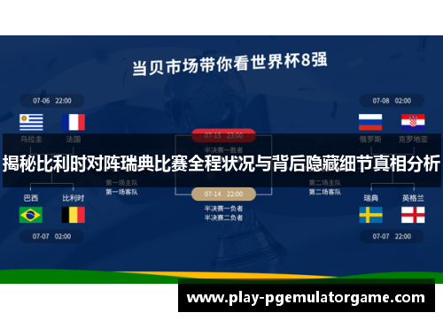 揭秘比利时对阵瑞典比赛全程状况与背后隐藏细节真相分析