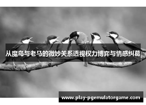 从魔鸟与老马的微妙关系透视权力博弈与情感纠葛