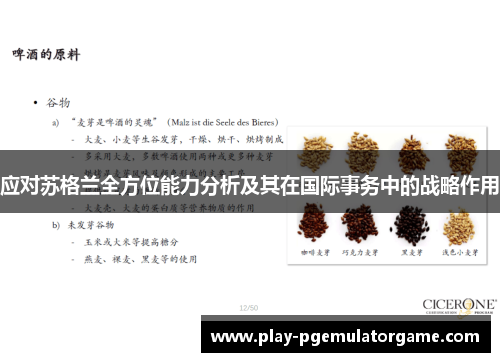 应对苏格兰全方位能力分析及其在国际事务中的战略作用