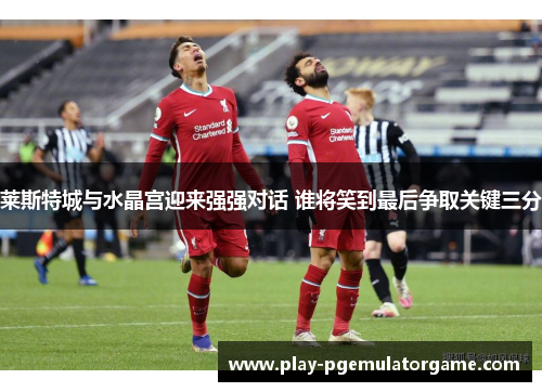 莱斯特城与水晶宫迎来强强对话 谁将笑到最后争取关键三分