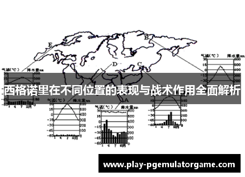 西格诺里在不同位置的表现与战术作用全面解析