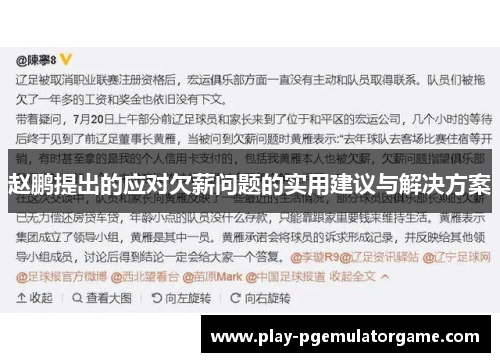 赵鹏提出的应对欠薪问题的实用建议与解决方案