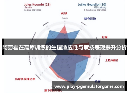 阿劳霍在高原训练的生理适应性与竞技表现提升分析
