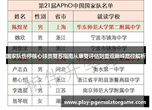 国家队伤停核心球员复苏指南从康复评估到重返巅峰路径解析 国家队伤停核心球员复苏指南从康复评估到重返巅峰路径解析