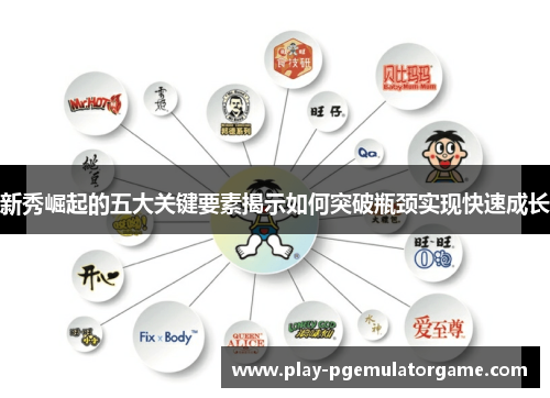 新秀崛起的五大关键要素揭示如何突破瓶颈实现快速成长 新秀崛起的五大关键要素揭示如何突破瓶颈实现快速成长